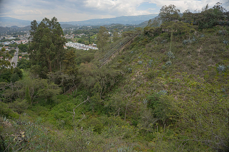 Nuevo habitat Sisa